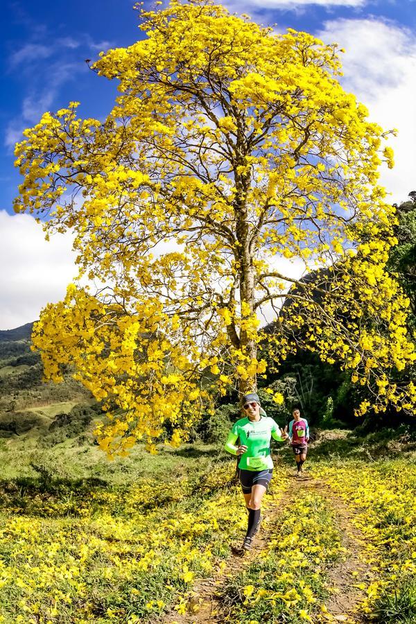 Buy your photos of the eventEvolution on Fotop