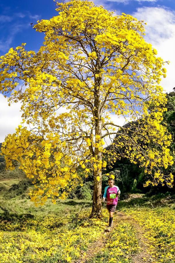 Buy your photos of the eventEvolution on Fotop