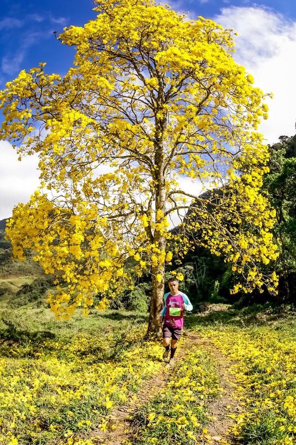 Buy your photos of the eventEvolution on Fotop