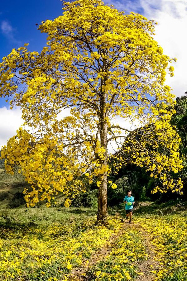 Buy your photos of the eventEvolution on Fotop