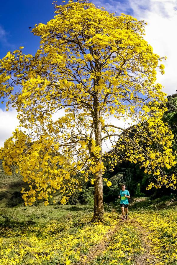 Buy your photos of the eventEvolution on Fotop