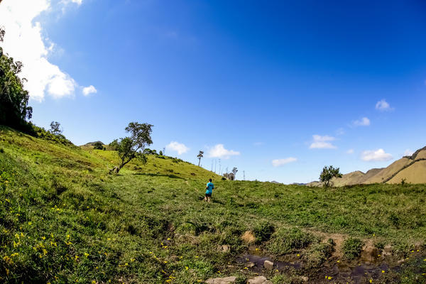 Buy your photos of the eventEvolution on Fotop