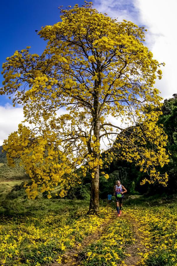 Buy your photos of the eventEvolution on Fotop