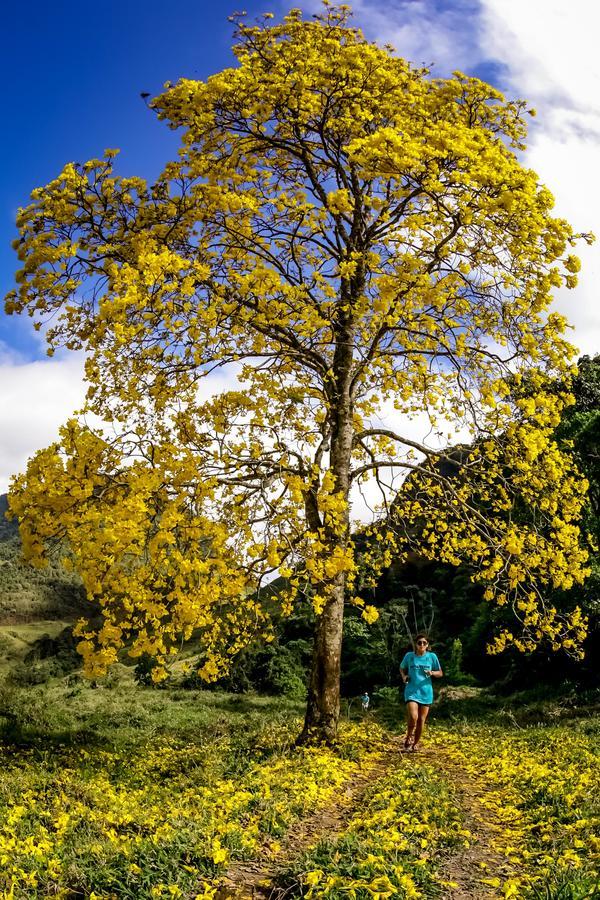 Buy your photos of the eventEvolution on Fotop