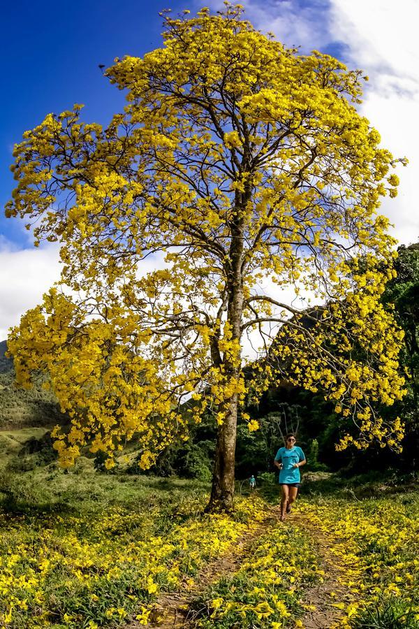 Buy your photos of the eventEvolution on Fotop
