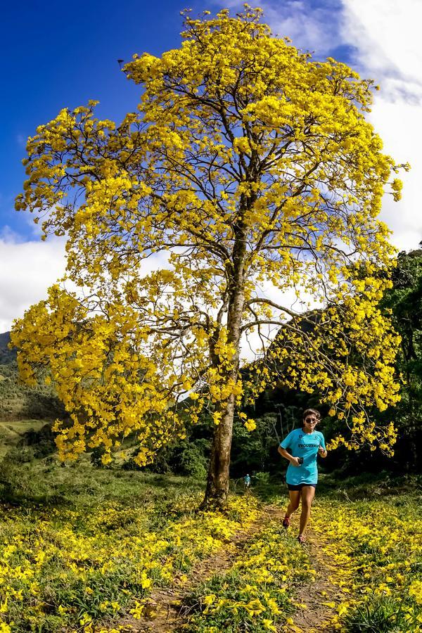 Buy your photos of the eventEvolution on Fotop