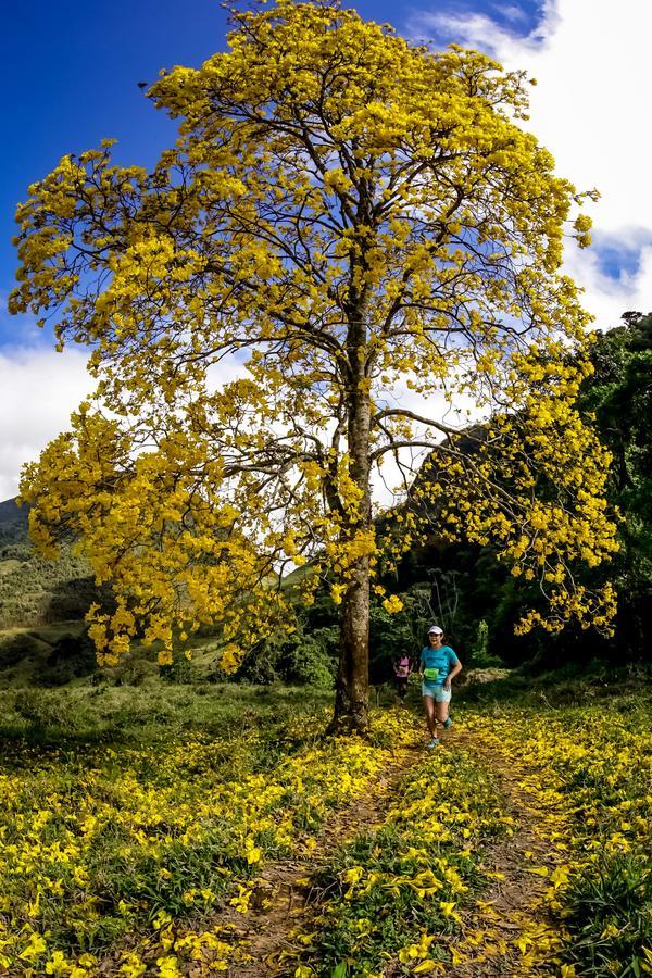 Buy your photos of the eventEvolution on Fotop