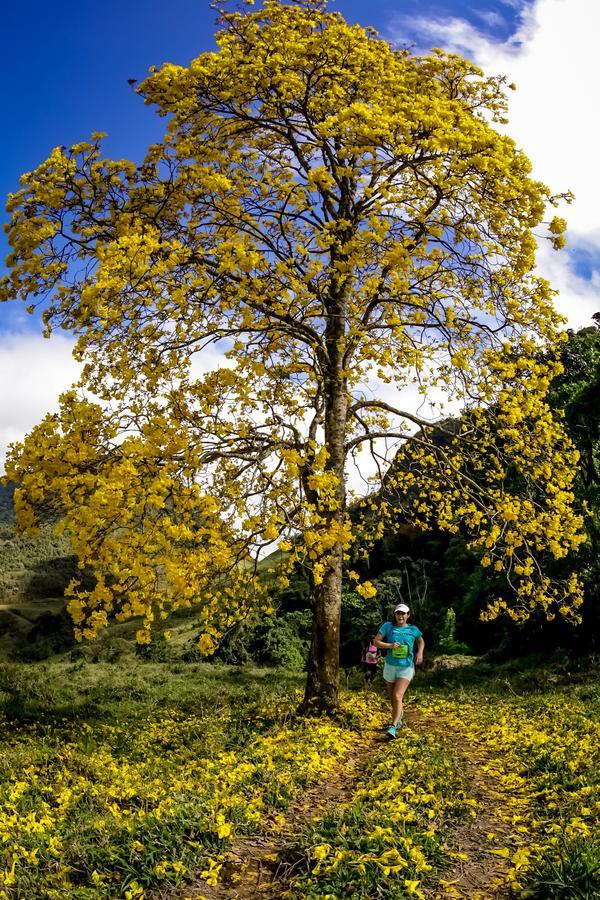 Buy your photos of the eventEvolution on Fotop