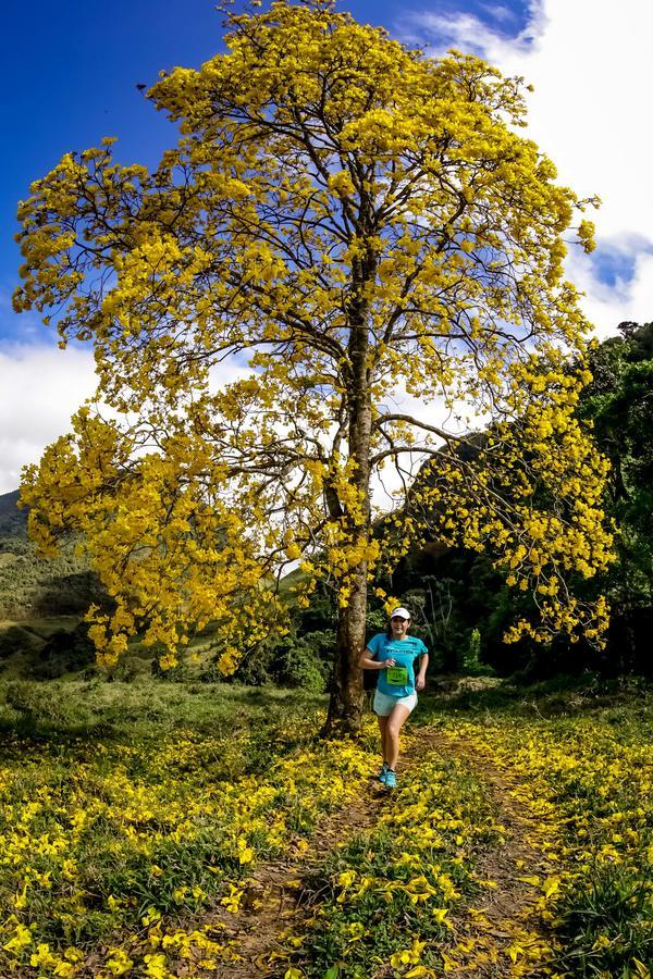 Buy your photos of the eventEvolution on Fotop