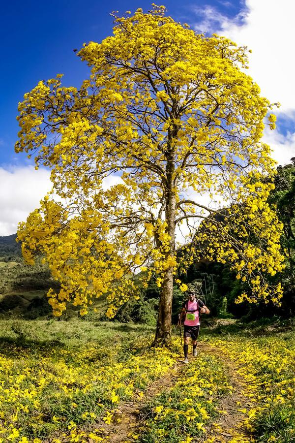 Buy your photos of the eventEvolution on Fotop