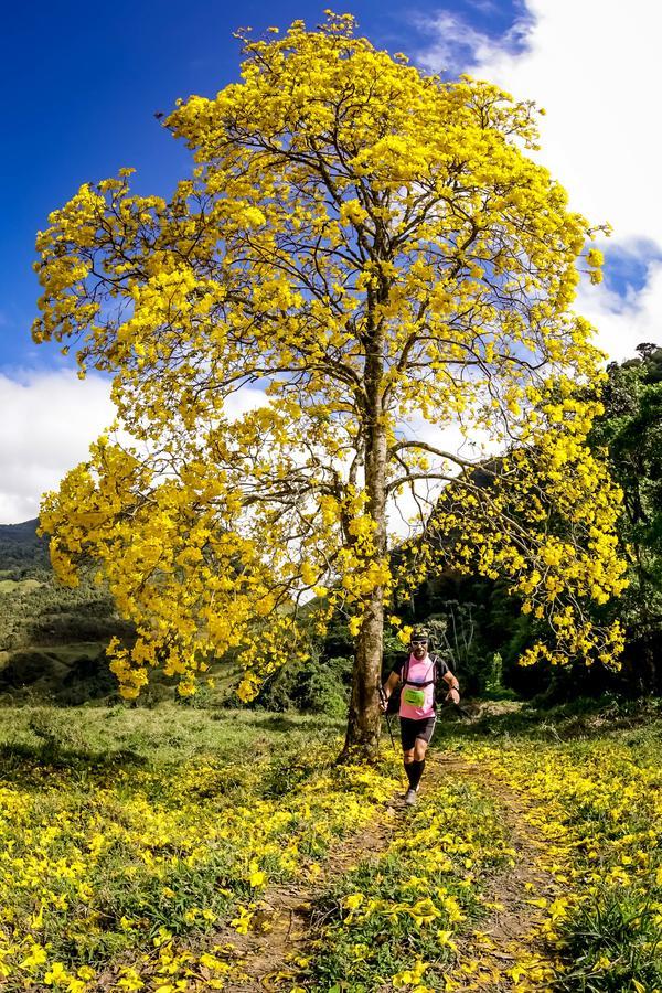 Buy your photos of the eventEvolution on Fotop