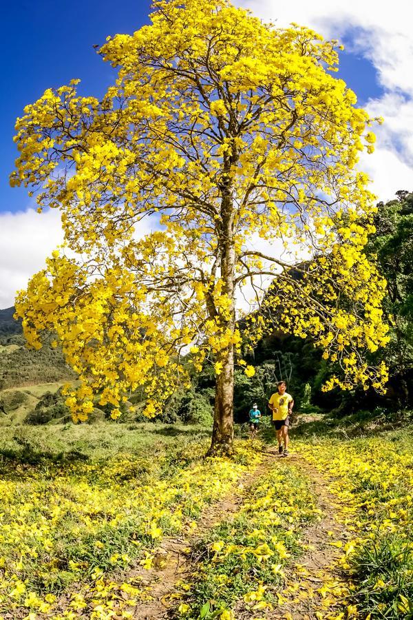 Buy your photos of the eventEvolution on Fotop