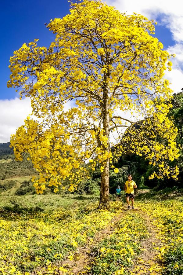 Buy your photos of the eventEvolution on Fotop