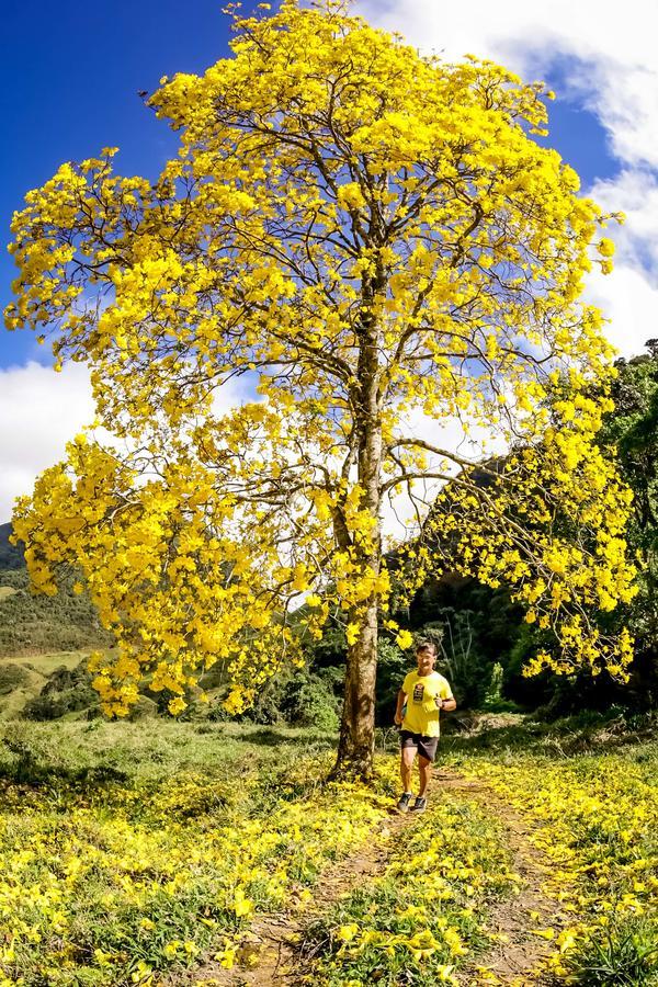 Buy your photos of the eventEvolution on Fotop