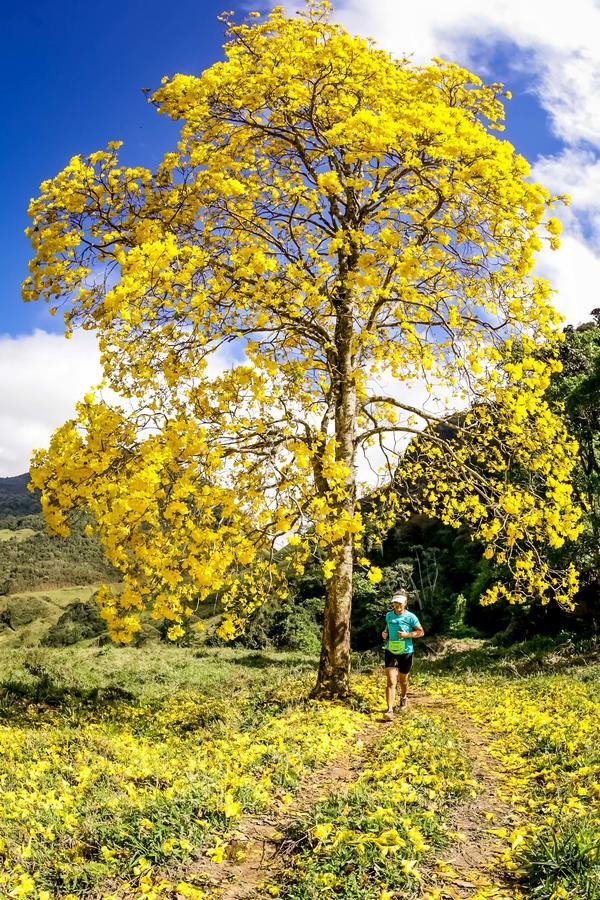 Buy your photos of the eventEvolution on Fotop