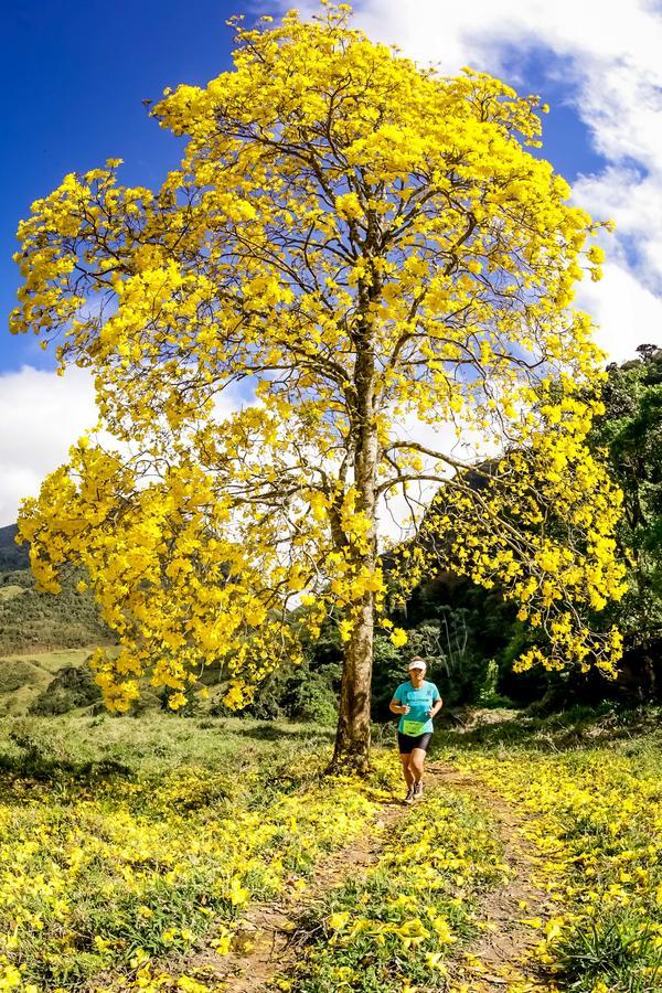 Buy your photos of the eventEvolution on Fotop