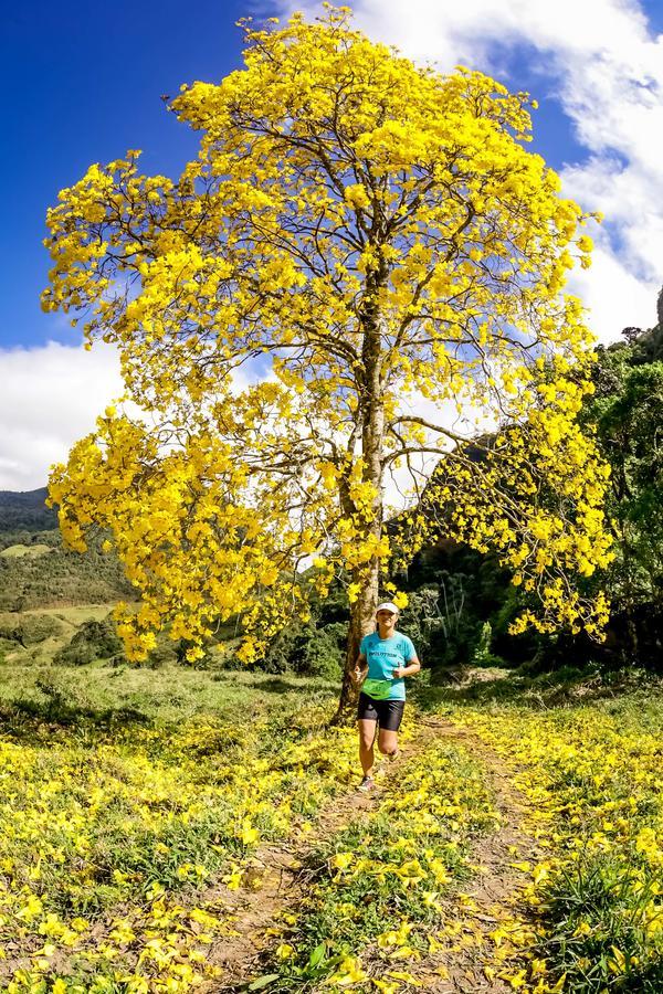 Buy your photos of the eventEvolution on Fotop