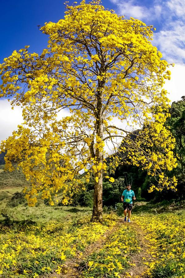 Buy your photos of the eventEvolution on Fotop