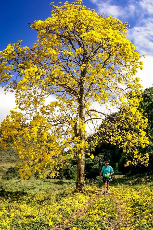 Buy your photos of the eventEvolution on Fotop