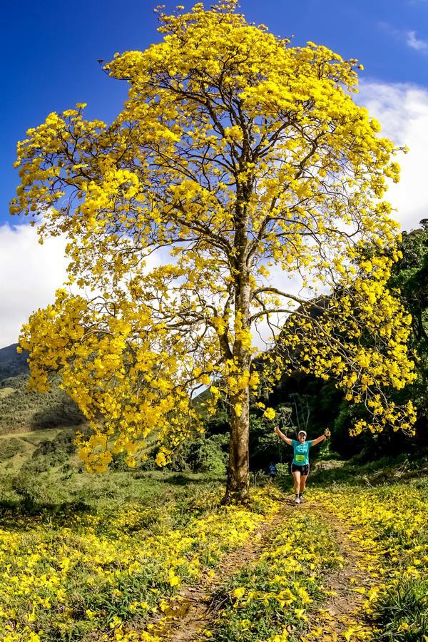 Buy your photos of the eventEvolution on Fotop