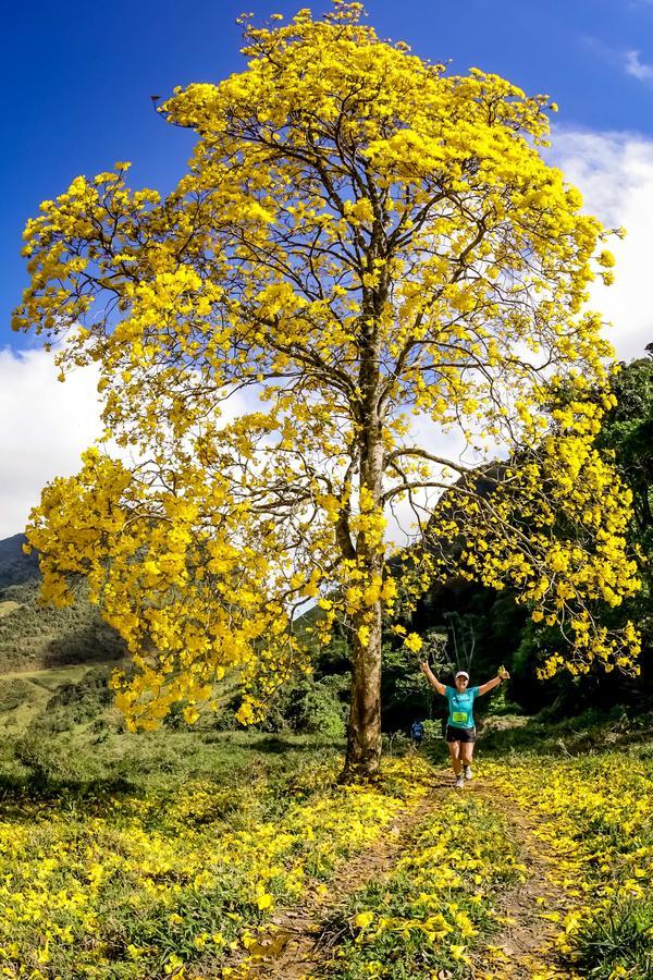 Buy your photos of the eventEvolution on Fotop