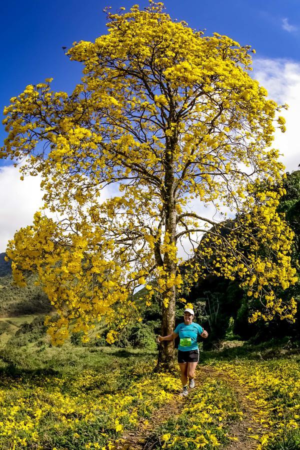 Buy your photos of the eventEvolution on Fotop