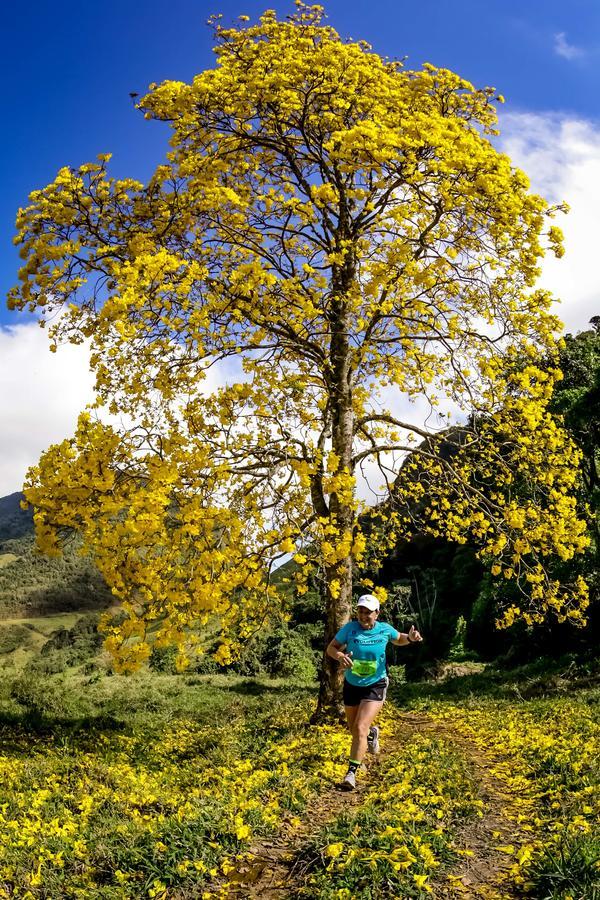 Buy your photos of the eventEvolution on Fotop