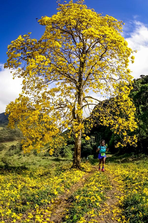 Buy your photos of the eventEvolution on Fotop