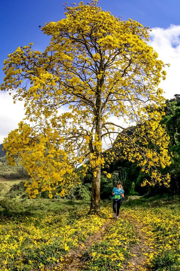 Buy your photos of the eventEvolution on Fotop