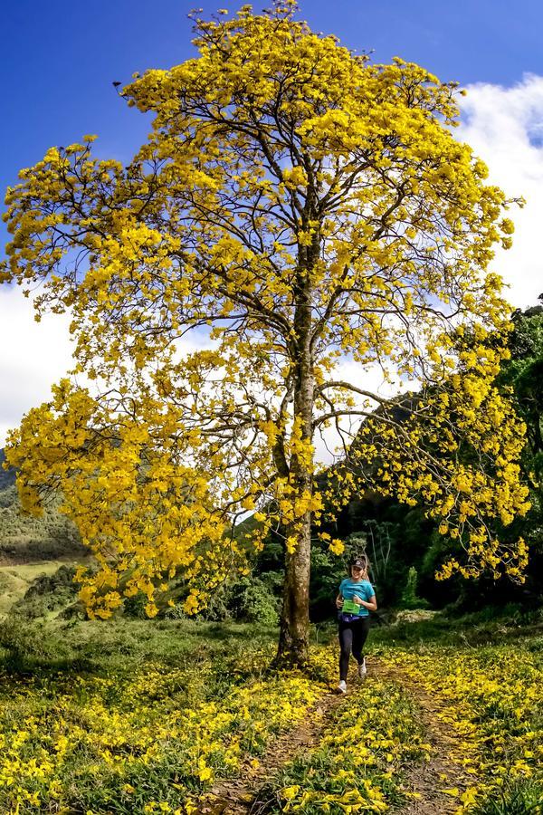 Buy your photos of the eventEvolution on Fotop