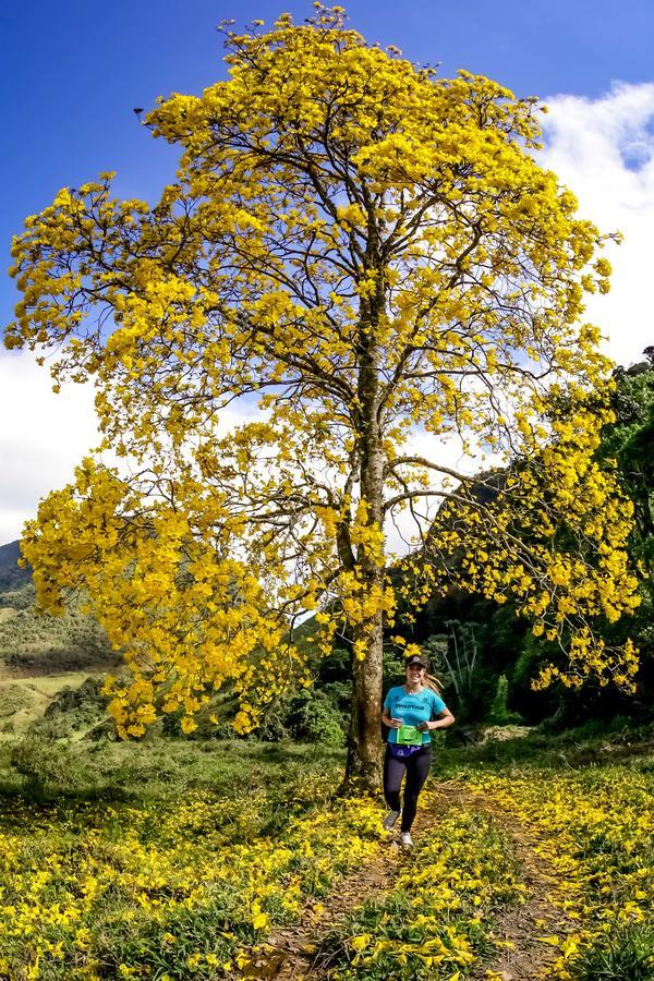 Buy your photos of the eventEvolution on Fotop