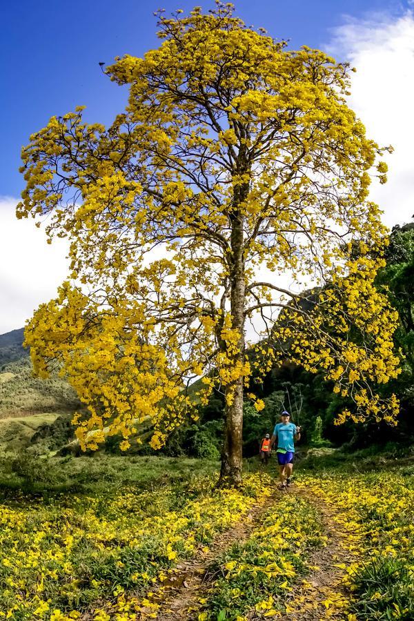 Buy your photos of the eventEvolution on Fotop