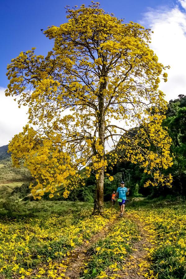 Buy your photos of the eventEvolution on Fotop