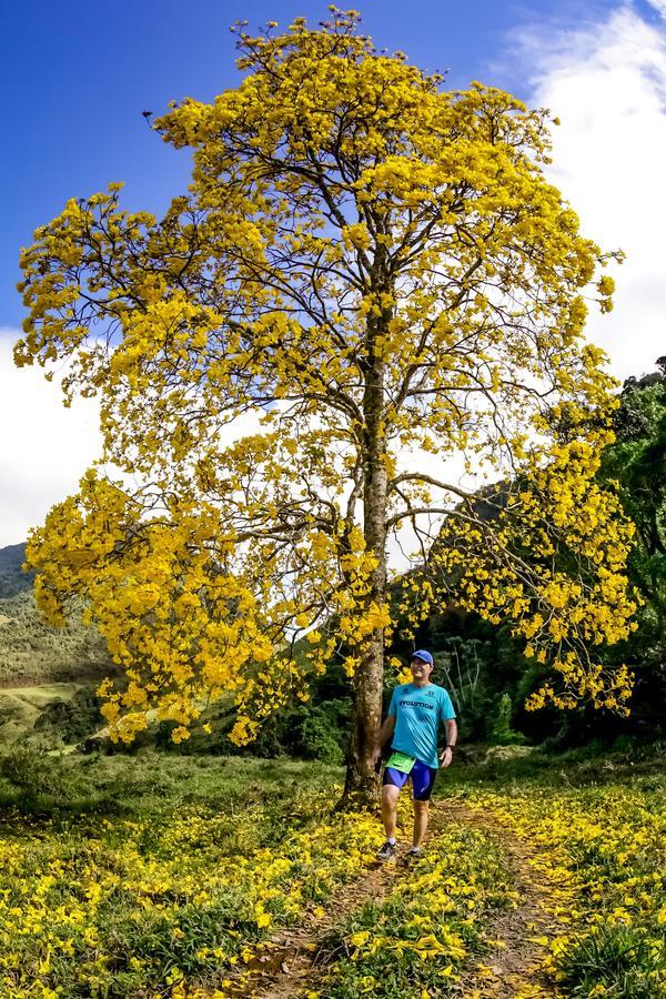 Buy your photos of the eventEvolution on Fotop