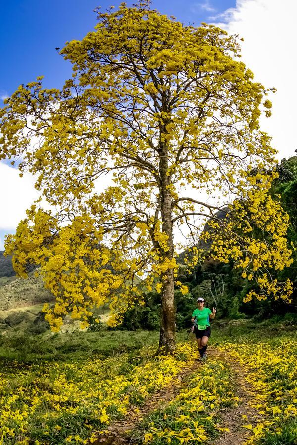 Buy your photos of the eventEvolution on Fotop