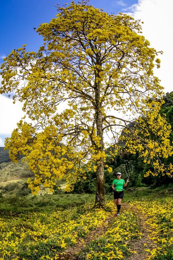 Buy your photos of the eventEvolution on Fotop