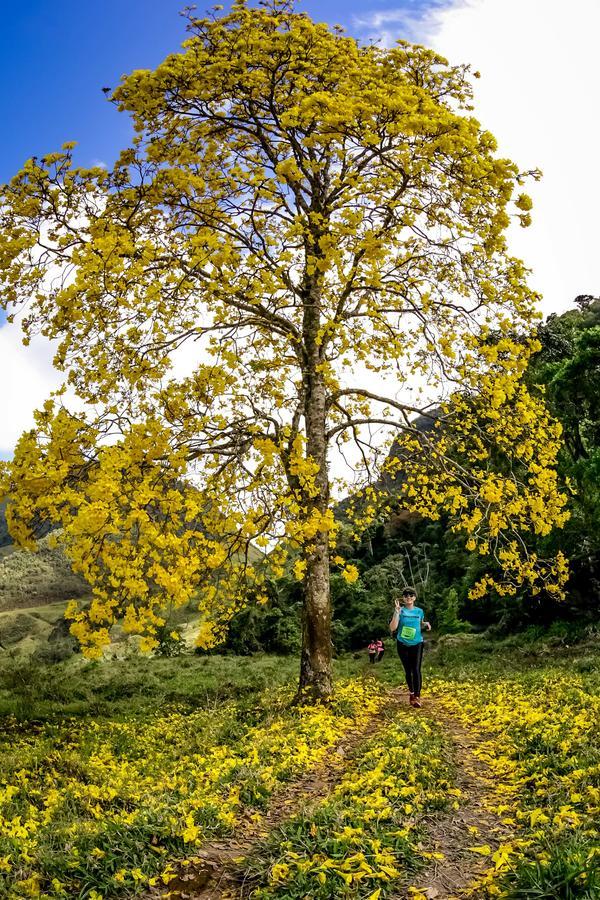 Buy your photos of the eventEvolution on Fotop