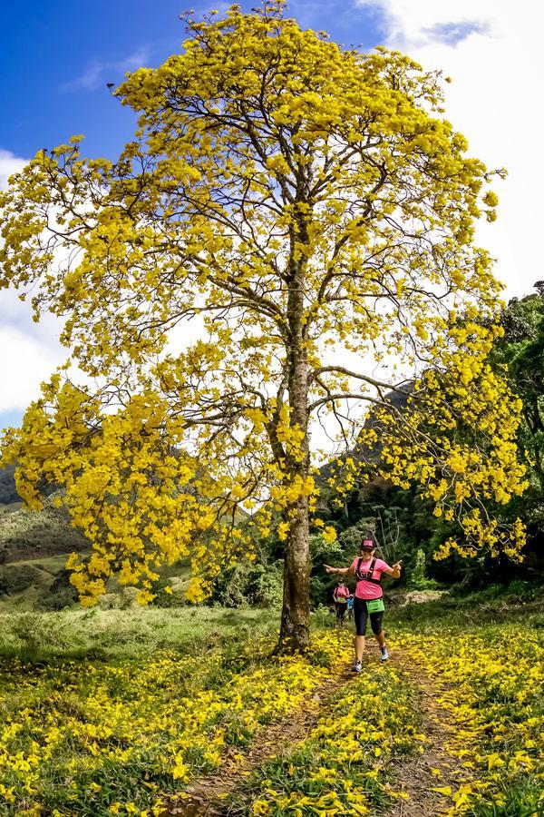 Buy your photos of the eventEvolution on Fotop