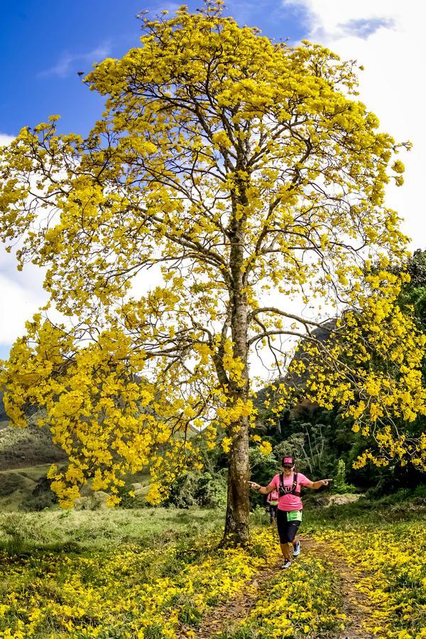 Buy your photos of the eventEvolution on Fotop