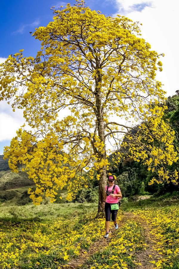Buy your photos of the eventEvolution on Fotop