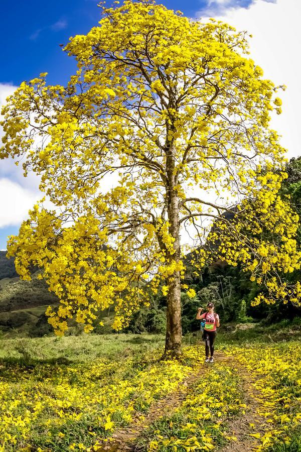 Buy your photos of the eventEvolution on Fotop