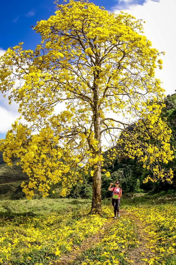 Buy your photos of the eventEvolution on Fotop