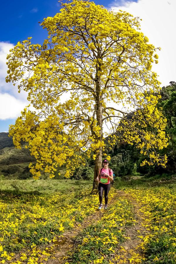 Buy your photos of the eventEvolution on Fotop