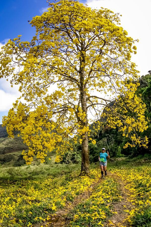 Buy your photos of the eventEvolution on Fotop