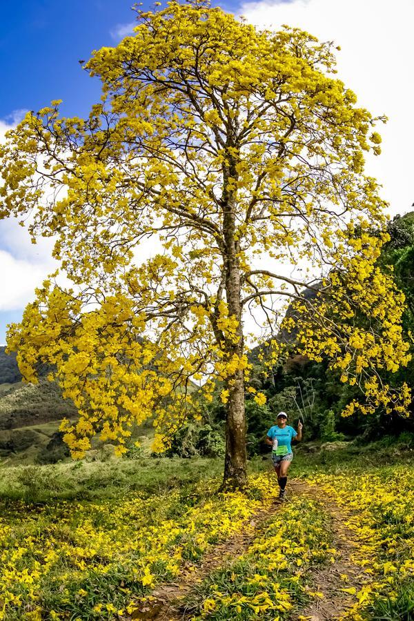 Buy your photos of the eventEvolution on Fotop