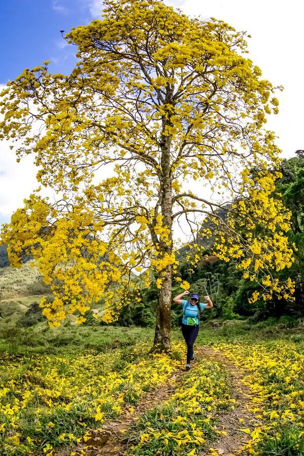 Buy your photos of the eventEvolution on Fotop