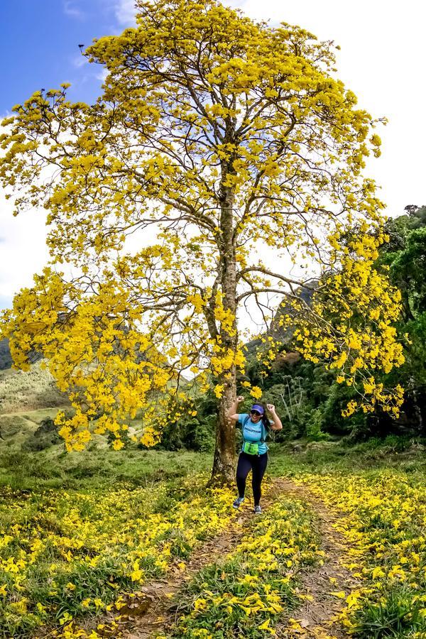 Buy your photos of the eventEvolution on Fotop