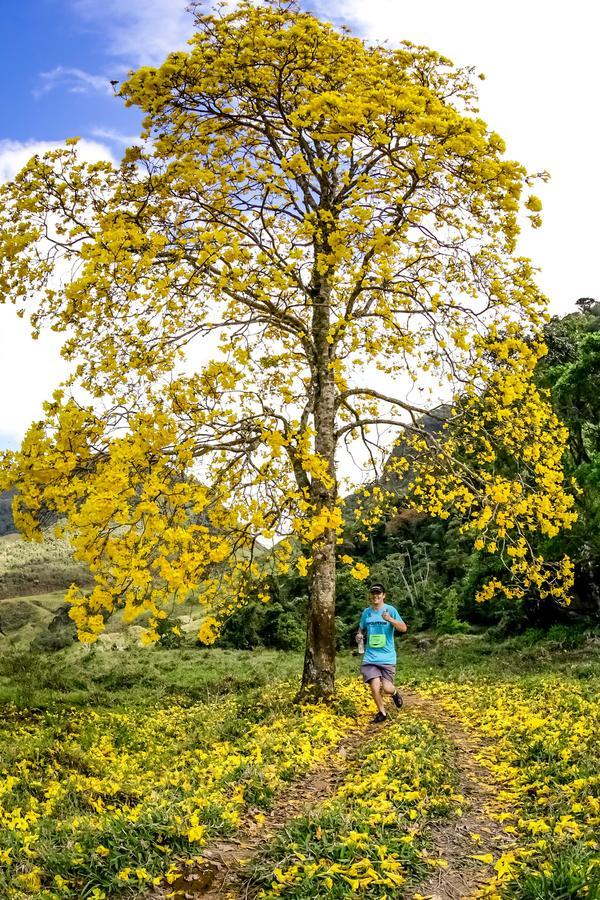 Buy your photos of the eventEvolution on Fotop