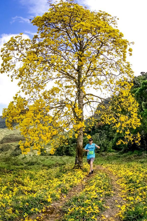 Buy your photos of the eventEvolution on Fotop