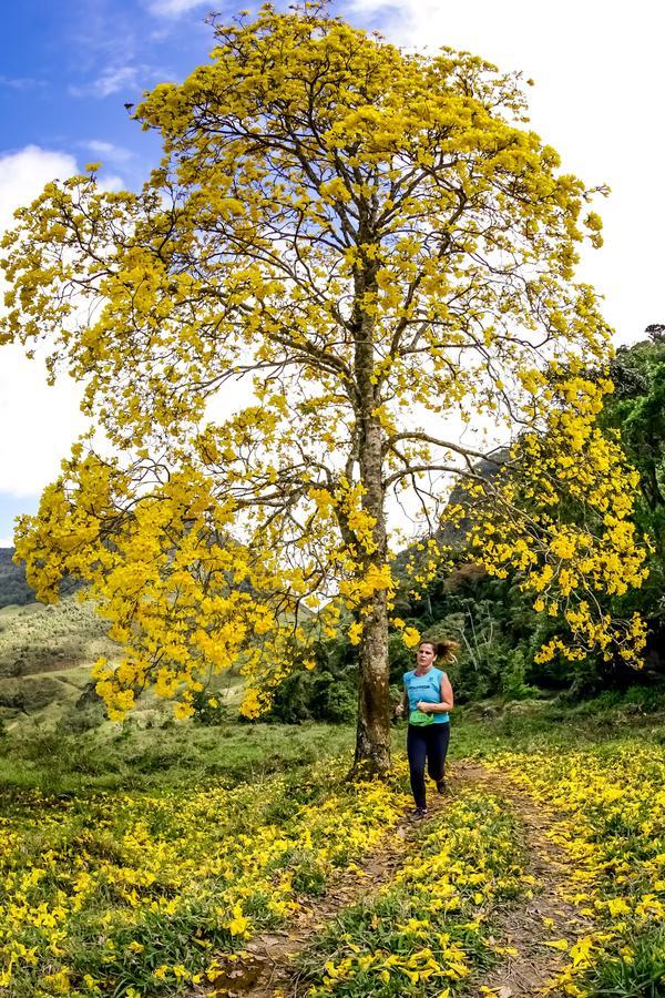 Buy your photos of the eventEvolution on Fotop